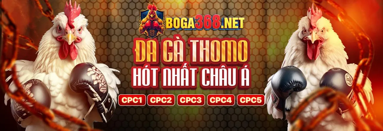 Các loại kèo cược thể thao đa dạng tại 58wib