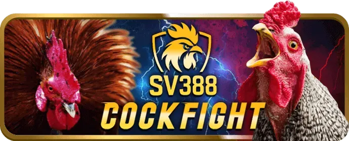 Đa dạng trò chơi slot